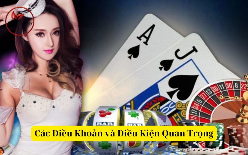 Các Điều Khoản và Điều Kiện Quan Trọng