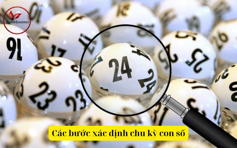 Các bước xác định chu kỳ con số