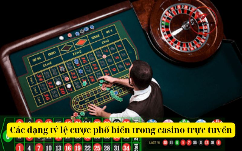 Các dạng tỷ lệ cược phổ biến trong casino trực tuyến