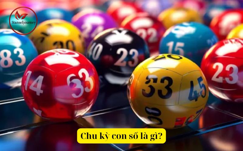 Chu kỳ con số là gì