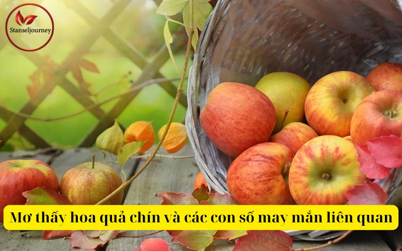 Mơ thấy hoa quả chín và các con số may mắn liên quan