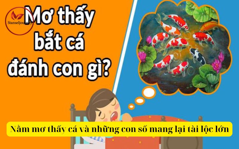 Nằm mơ thấy cá và những con số mang lại tài lộc lớn