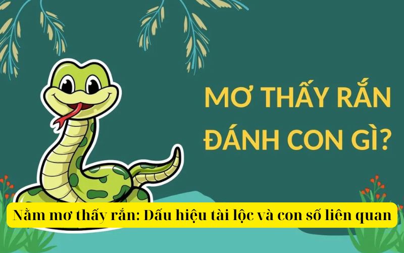 Nằm mơ thấy rắn Dấu hiệu của tài lộc và con số liên quan