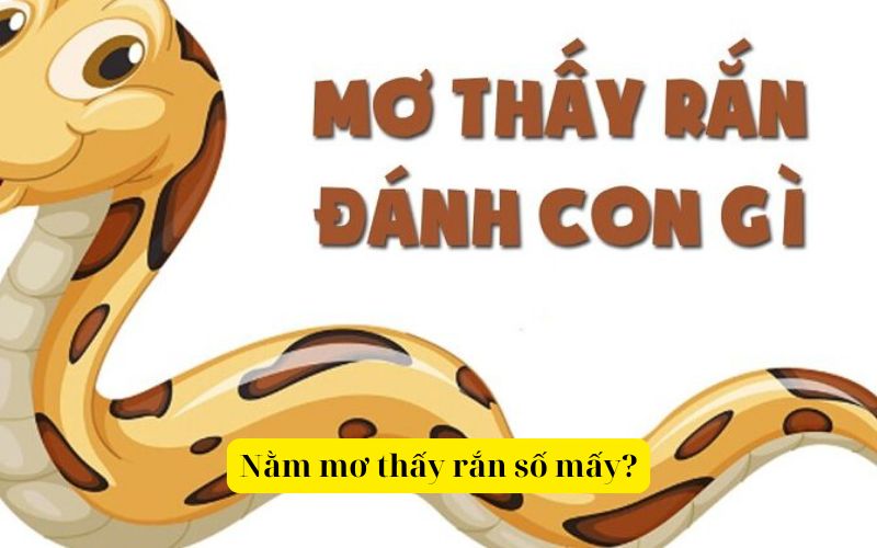 Nằm mơ thấy rắn là số mấy
