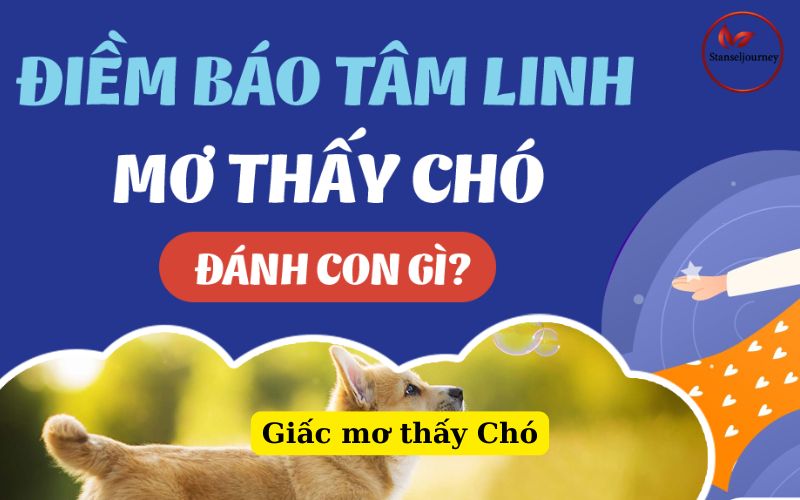 Giấc mơ thấy Chó