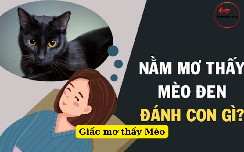 Giấc mơ thấy Mèo
