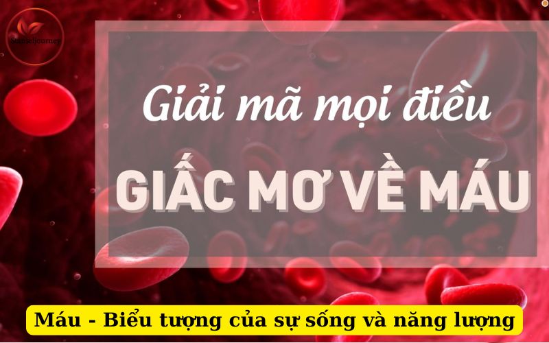 Máu - Biểu tượng của sự sống và năng lượng