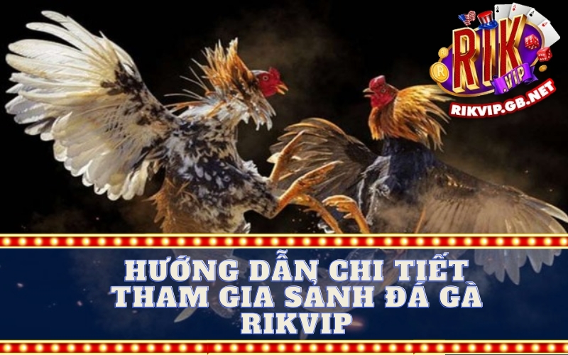Hướng Dẫn Chi Tiết Tham Gia Sảnh Đá Gà Rikvip