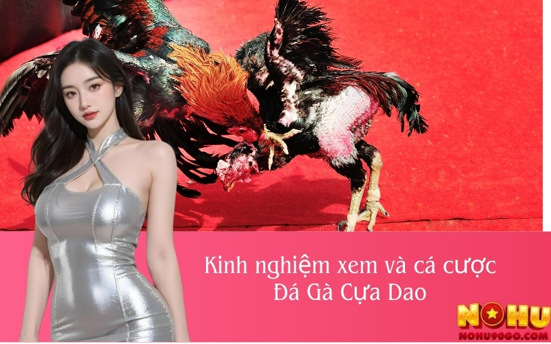 Kinh nghiệm xem và cá cược Đá Gà Cựa Dao