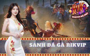 Sảnh Đá Gà Rikvip