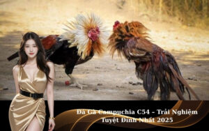 Đá Gà Campuchia C54 – Trải Nghiệm Tuyệt Đỉnh Nhất 2025
