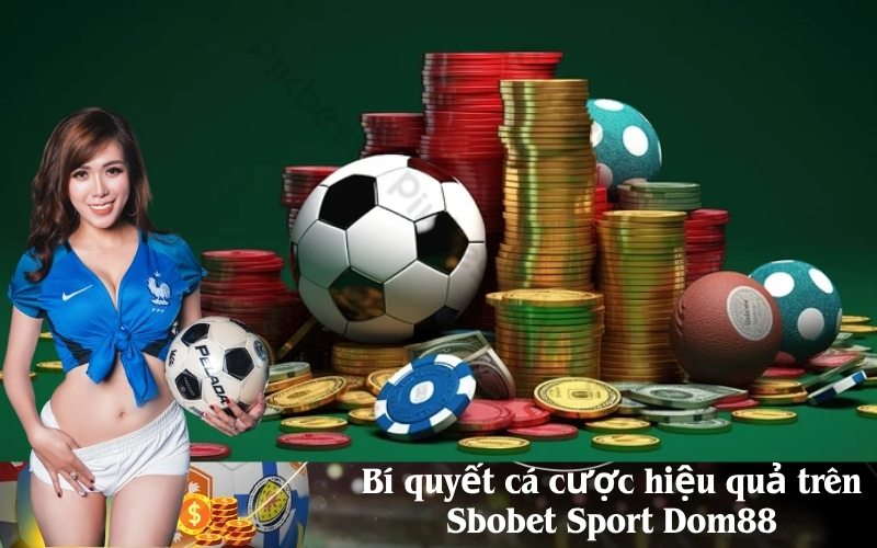 Bí quyết cá cược hiệu quả trên Sbobet Sport Dom88