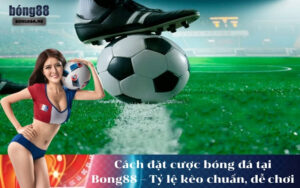 Cách đặt cược bóng đá tại Bong88 – Tỷ lệ kèo chuẩn, dễ chơi