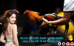 Đá Gà Cựa Sắt Da88 – Trận Chiến Gay Cấn Với Tỉ Lệ Thắng Cao