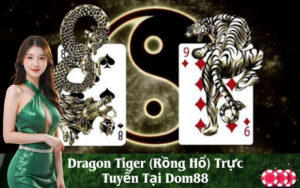 Dragon Tiger (Rồng Hổ) Trực Tuyến Tại Dom88