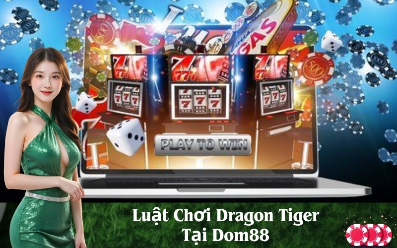 Luật Chơi Dragon Tiger Tại Dom88