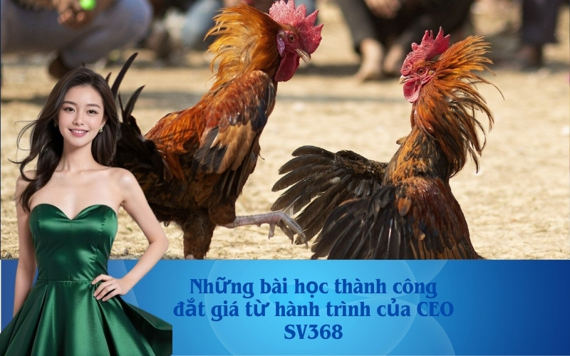 Những bài học thành công đắt giá từ hành trình của CEO SV368