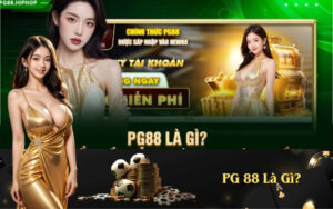 PG 88 Là Gì
