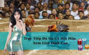 Trực Tiếp Đá Gà C1 Hồi Hộp, Xem Live Đỉnh Cao