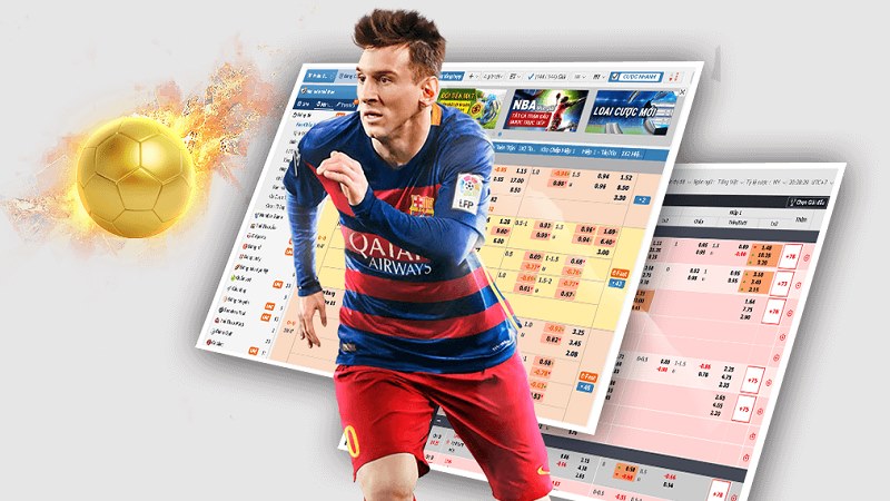 so sánh kèo 1/4 với kèo 0 và kèo 1/2